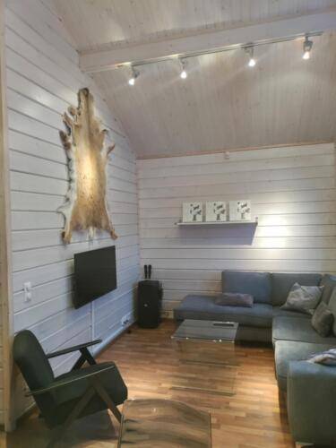 Olohuone vuokramökki Himos Chalet